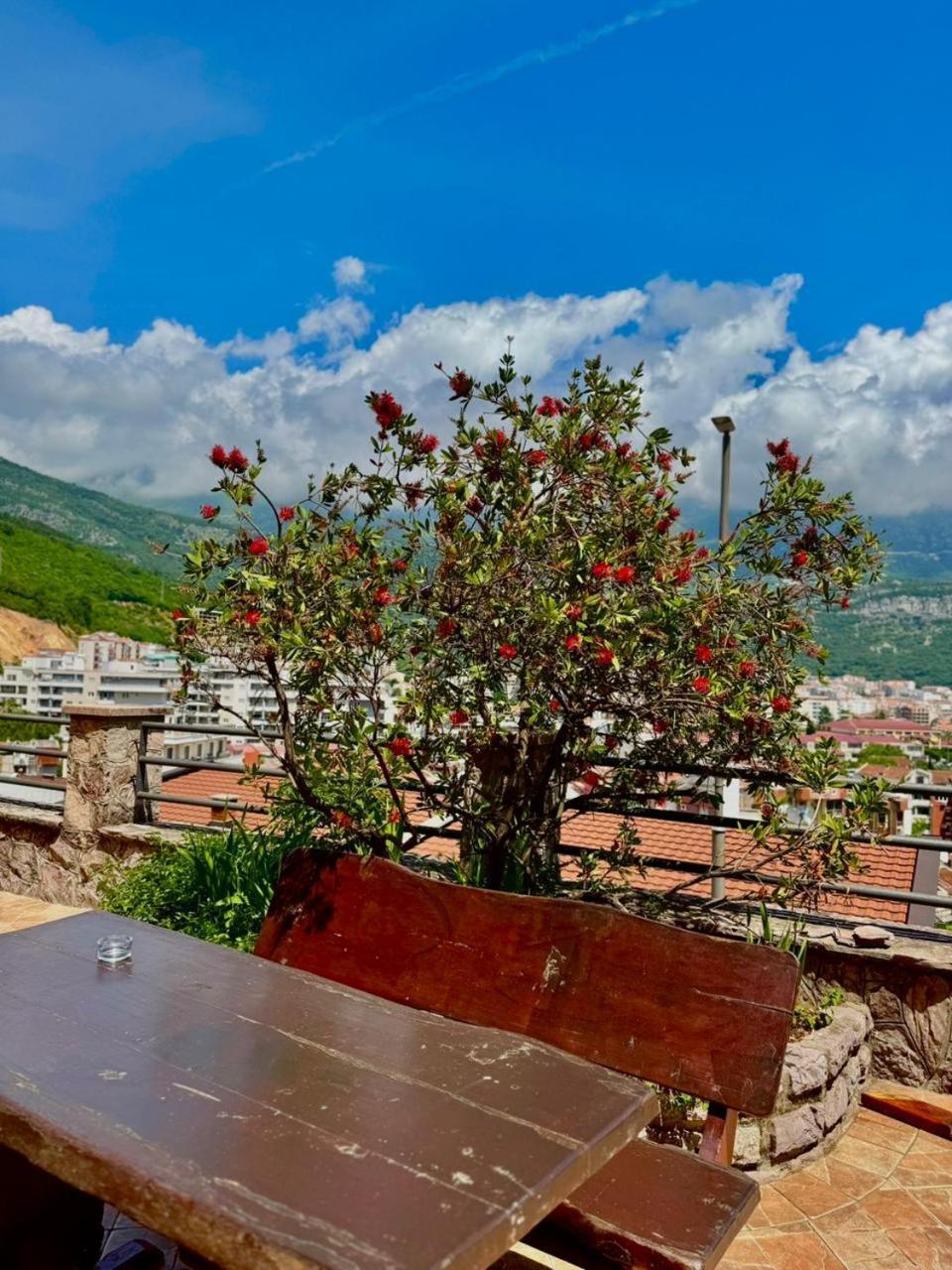 Apartment Contessa Budva