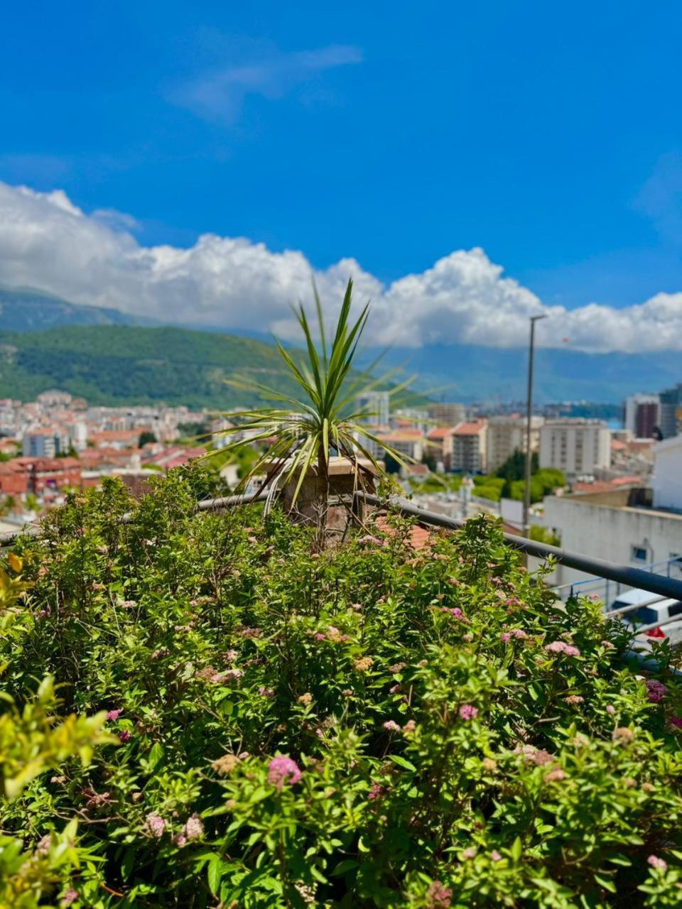 Contessa Apartment